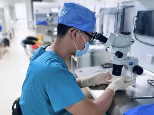 高薪试管婴儿代孕,铜陵正规助孕中心哪家靠谱