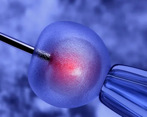 天子助孕试管组团,绍兴哪家医院做试管婴儿技术是比较好的