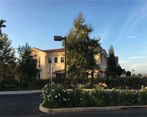 代孕试管成功案例,试管代怀生子助孕机构排名？附试管医院推荐！