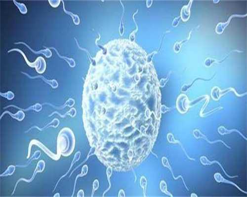 湖北不用结婚证做试管助孕的医院成功率