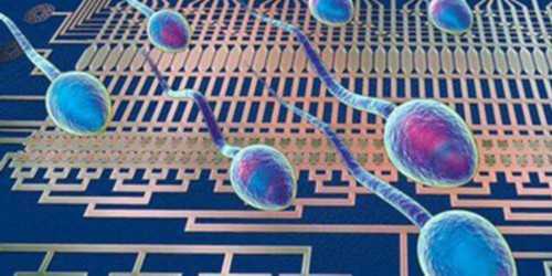 试管代孕机构靠谱吗,格鲁吉亚做第三代婴儿试管一般多少费用(格鲁吉亚助孕试