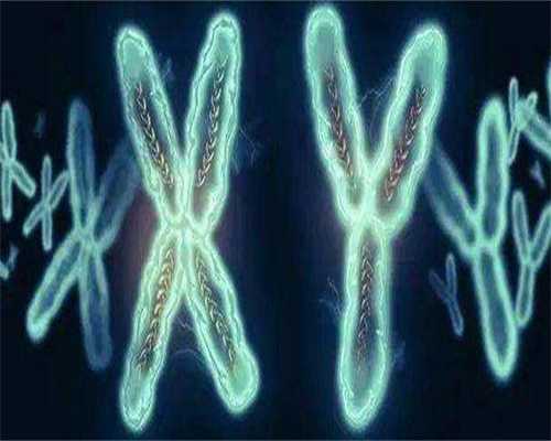 专业代孕机构,承德正规助孕机构有哪些