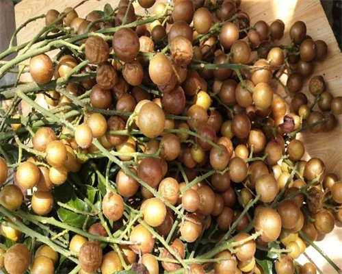 天津正规助孕公司大全