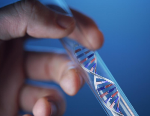 甘肃不用结婚证做试管助孕的医院哪家强