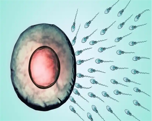 娄底正规试管助孕机构有哪些