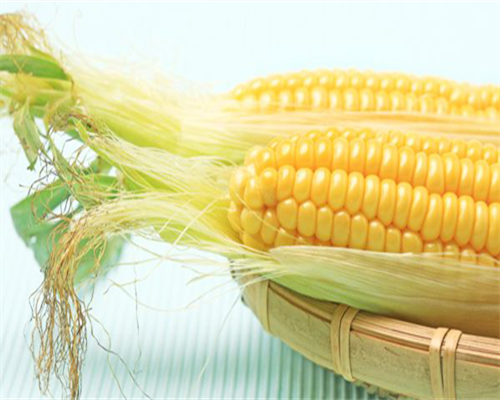 宜春试管助孕医院排名(宜春妇幼试管怎么样)