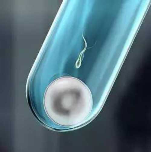 私人代孕微信号,国内三代借卵试管包生男孩成功率有多少，附生男孩费用明细