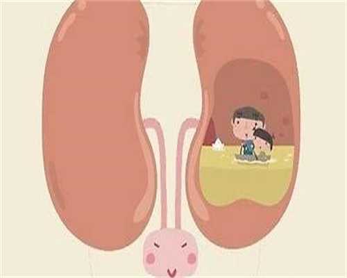 赴泰助孕三代试管技术分析，附详细排名费用！