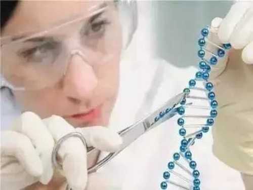 哪些人适合选择试管婴儿技术助孕，附费用详情流程！