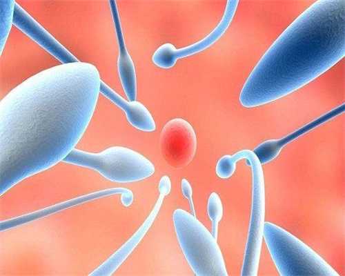  洛阳哪个公立医院可以供卵做三代试管婴儿？ 