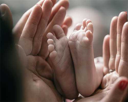 唐雪助孕中介_郝运借腹生子生殖网, 国内三代试管成功率是多少？一