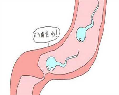 海南做试管婴儿-海南试管助孕助孕