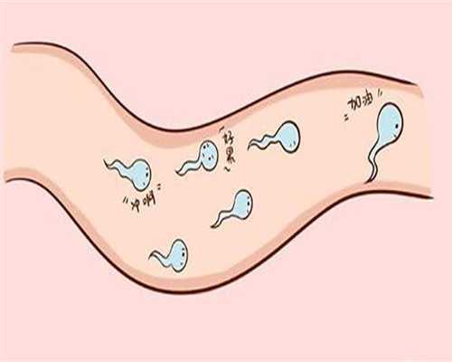 <strong>试管借卵代孕, 如何将境外冻卵运到国内做试管婴儿助孕？ </strong>