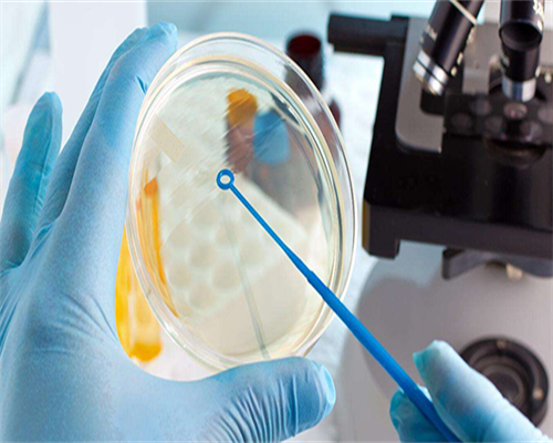 国内哪里正规医院可以做借卵供精试管婴儿？附详细介绍？